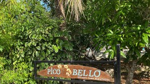 A wooden sign with the text "PICO BELLO" and "Gregory Town Eleuthera" indicating a location. - A garden oasis for the nature lover who likes modern comforts (Gregory Town)
