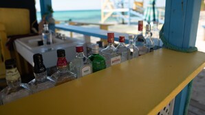 A bar counter with various bottles of alcohol. - A garden oasis for the nature lover who likes modern comforts (Gregory Town)