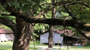 A white wooden swing bench under a tree in a grassy area with a rustic building in the background.
