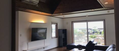 Smart TV, Netflix, books, streaming services