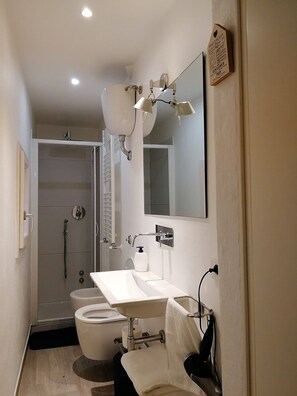 Hair dryer, soap, shampoo, toilet paper