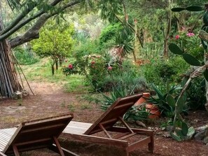 A garden with a wooden bench and a pathway.