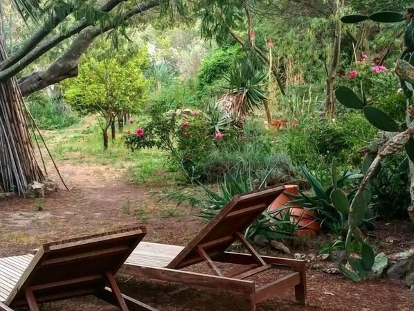 Un jardín con un banco de madera y un sendero.