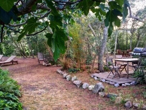 Un espacio al aire libre con mobiliario de madera y un sendero de piedra.