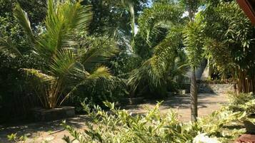 Jardines del alojamiento