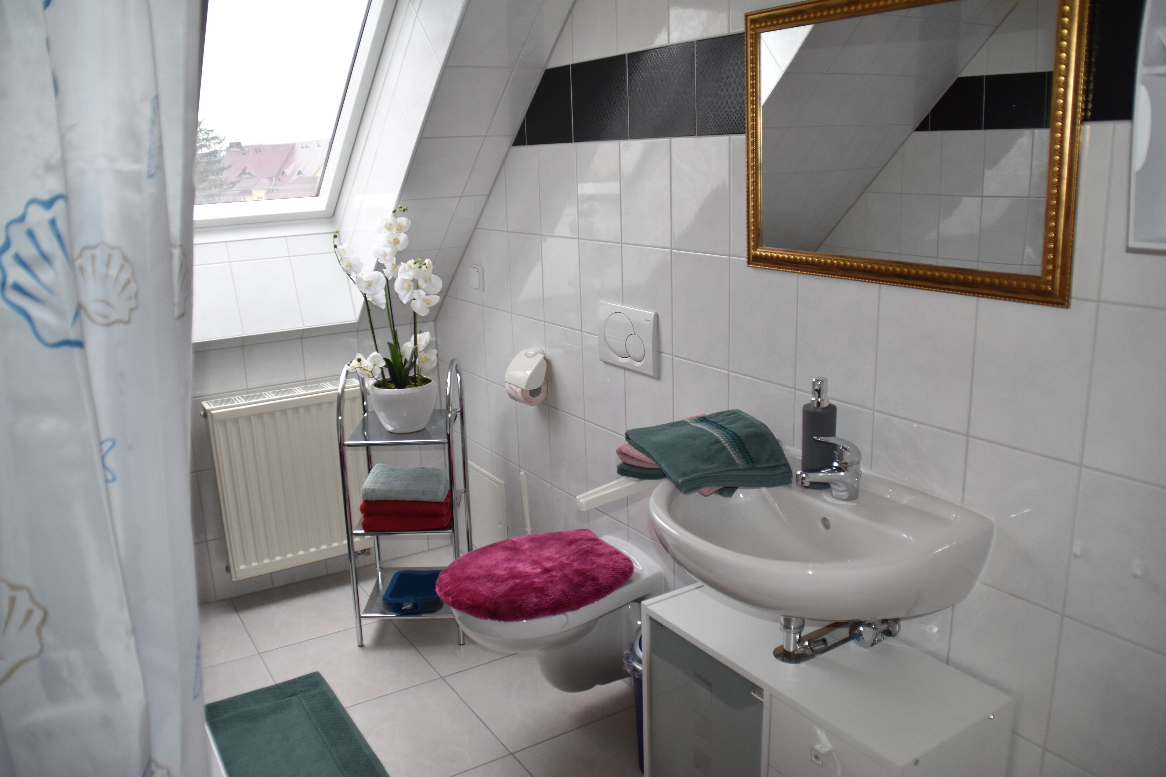 Tina, secadora de cabello, toallas, papel de baño 