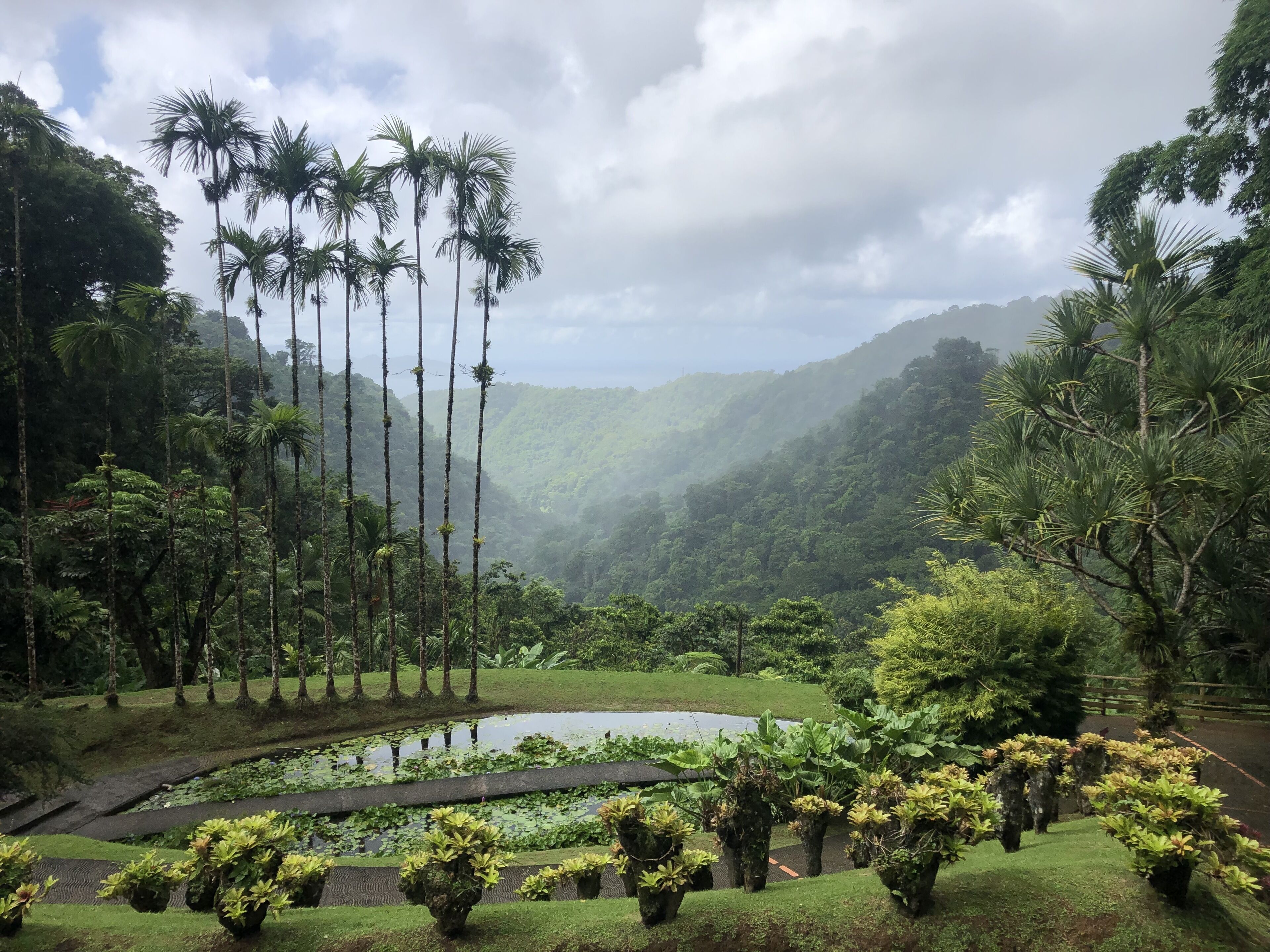 Jardin de Balata (visite)