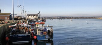 Arkle House - ein gemütliches Zuhause in Amble-by-the-Sea