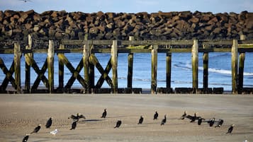 Beach nearby