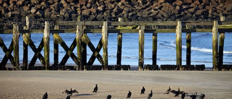 Nära stranden