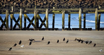 Arkle House - a cosy home-from-home in Amble-by-the-Sea