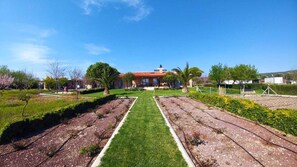 Jardin