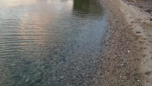 해변