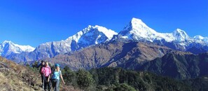 Unclassified image, 3 of 10, button - dreamland guest house,near [C.G] Saswatdham temple,rajahar.nawalpur nepal. (Rajahar)