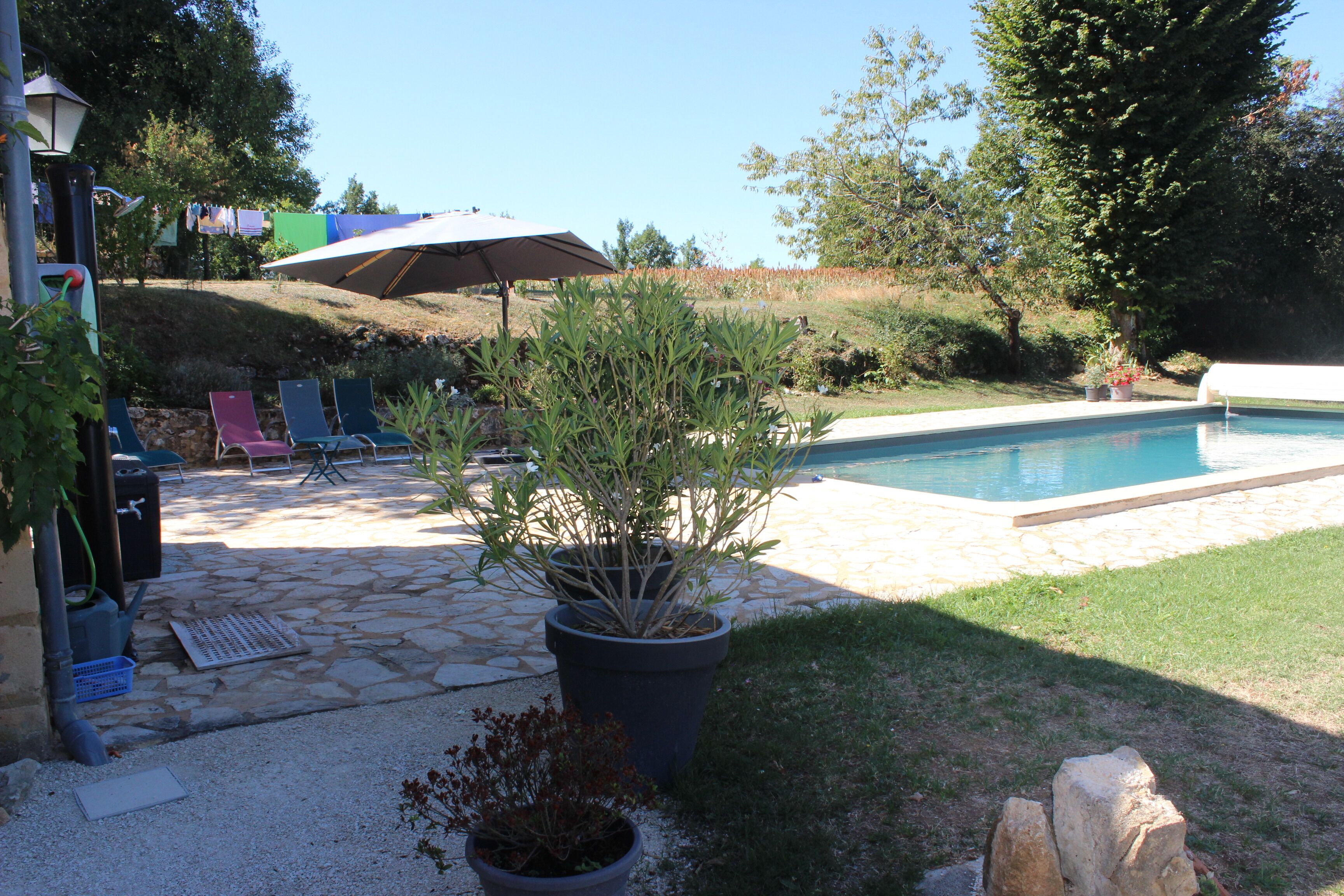 A backyard with a swimming pool, potted plants, and outdoor furniture.