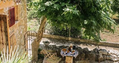 Finca Ses Fontanelles