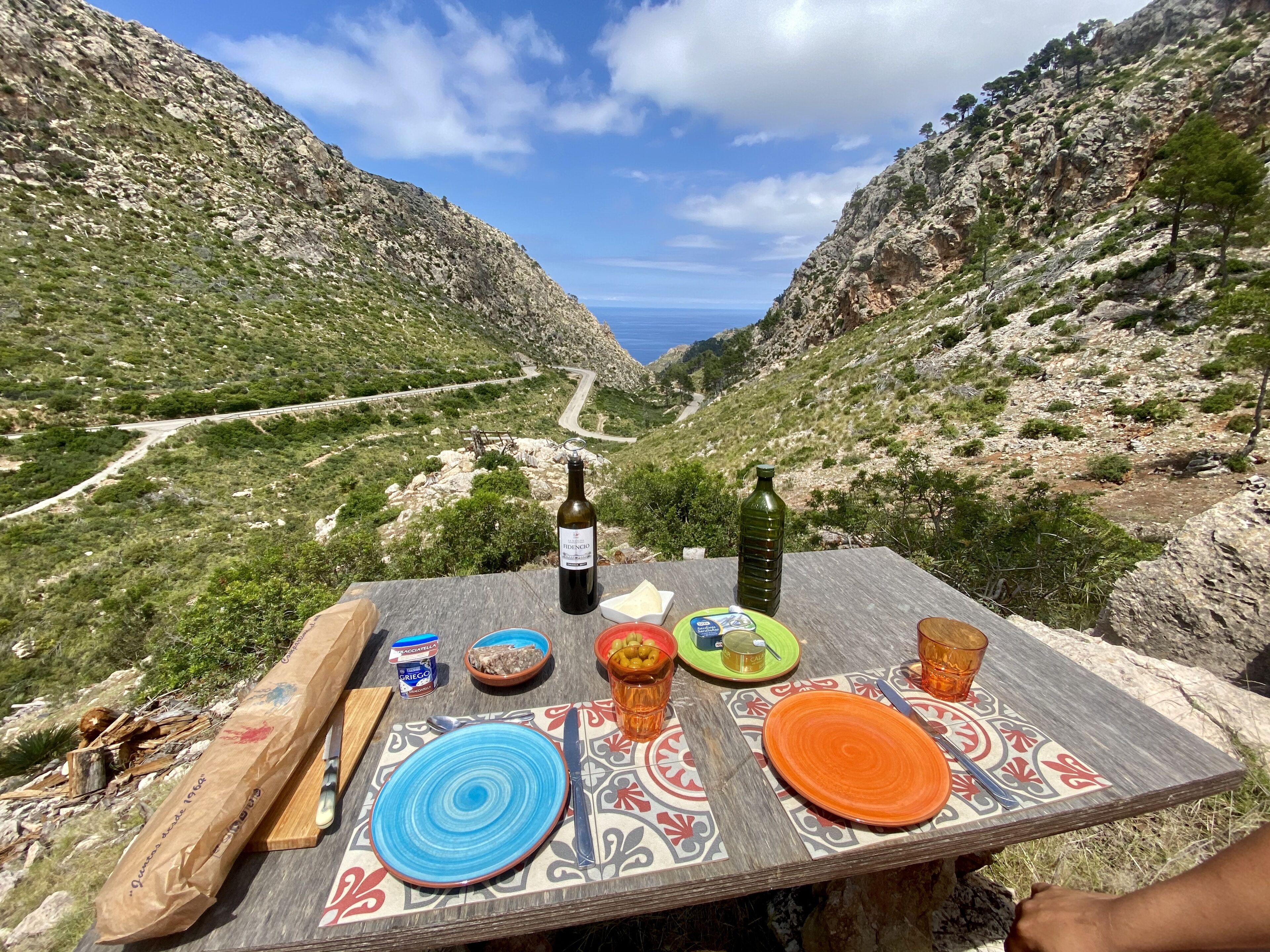 Foto - Finca Ses Fontanelles