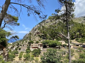 Property grounds - Finca Ses Fontanelles (Andraitx)