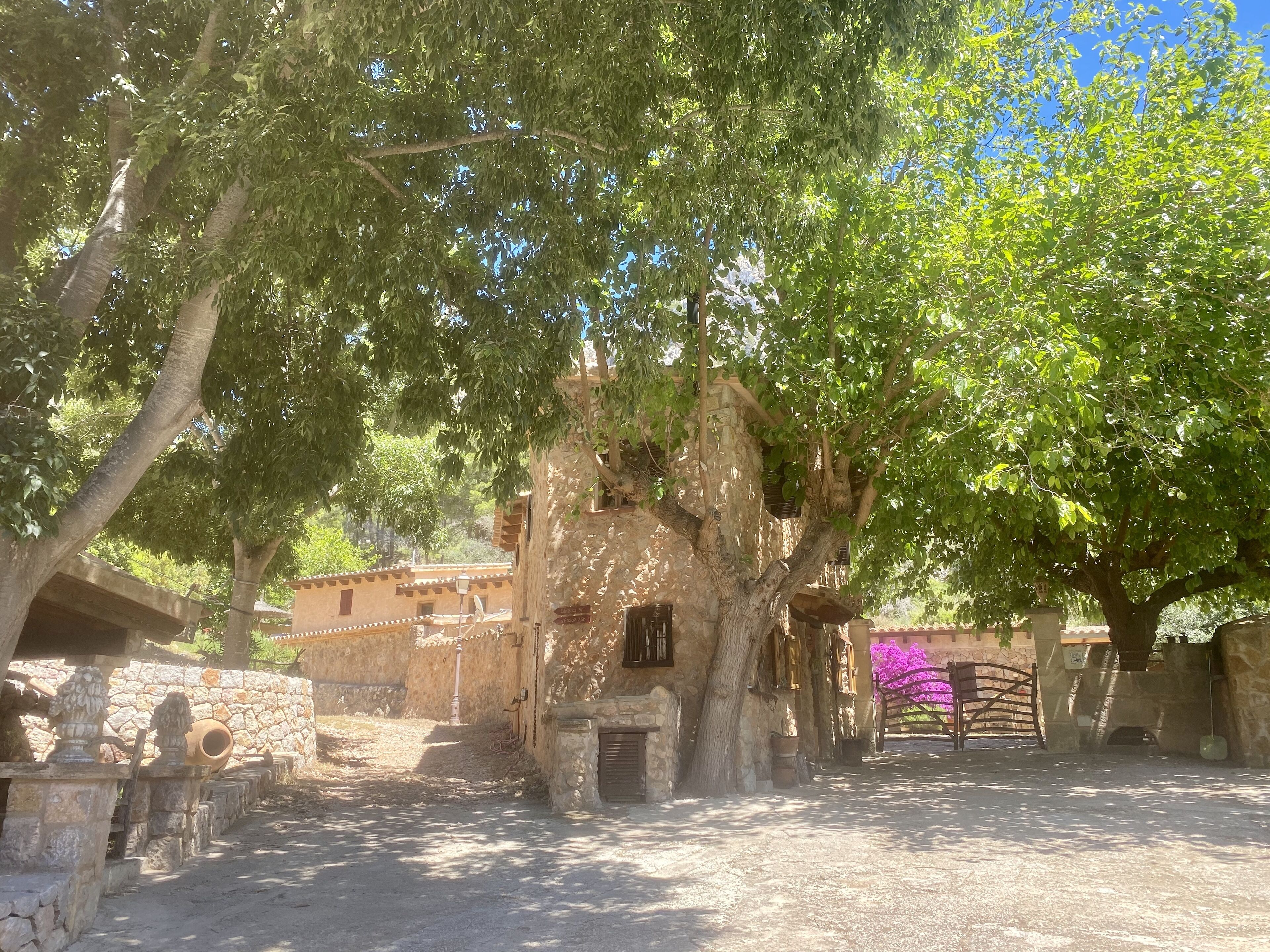 Foto - Finca Ses Fontanelles