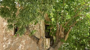 Un edificio de piedra con un árbol en primer plano, una puerta y un cartel que indica las distancias a Estalienes y Esclop.