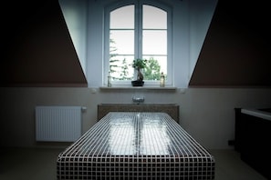 Body treatments, body scrubs, 3 treatment rooms, massages - Hotel Sobienie Krolewskie (Sobienie Jeziory)