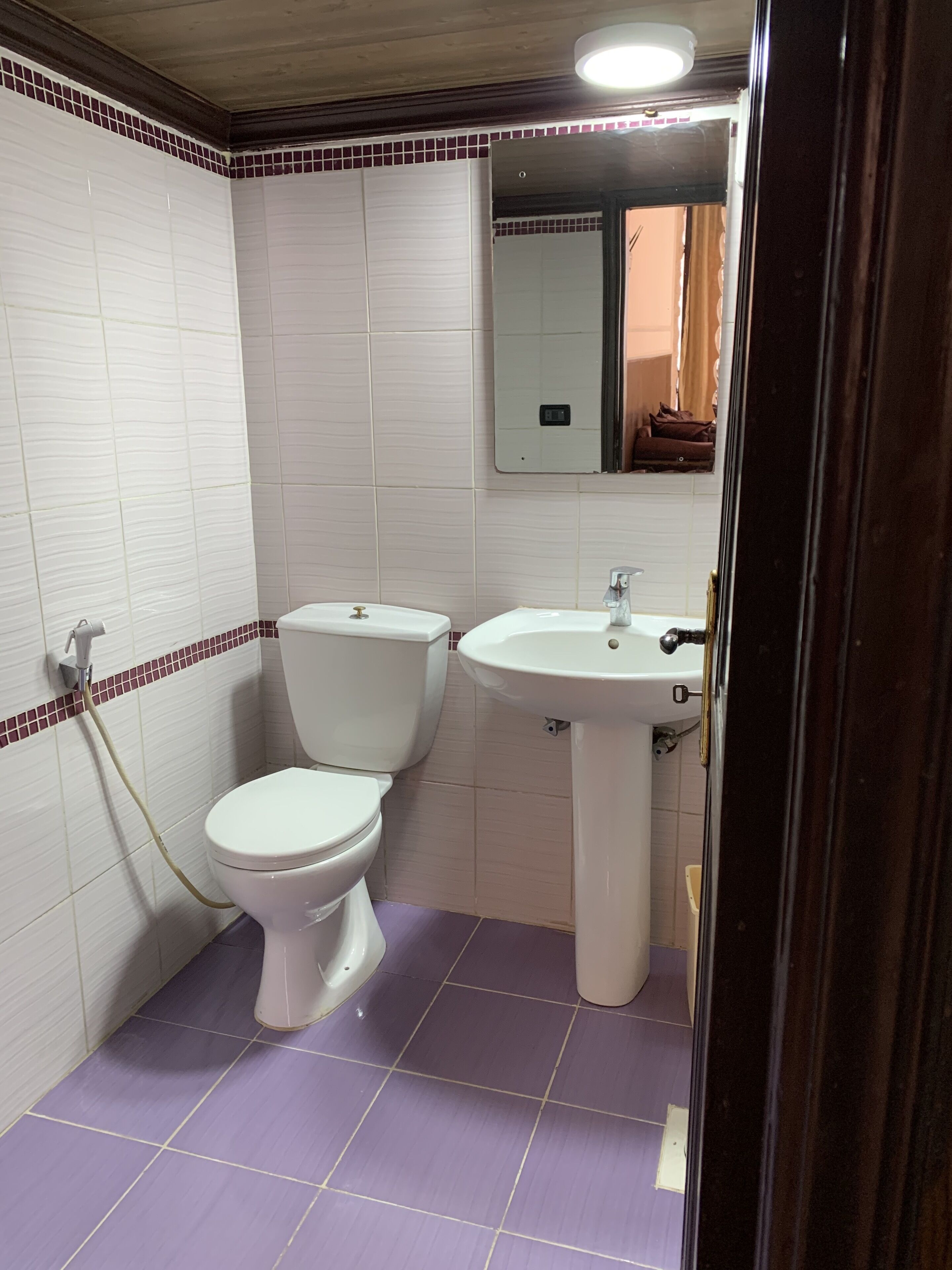 Ein Badezimmer mit weißen Fliesen an den Wänden, einem violetten Fliesenboden, einer weißen Toilette und einem Standwaschbecken.