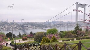 A view of a suspension bridge over a river with a cityscape in the background.