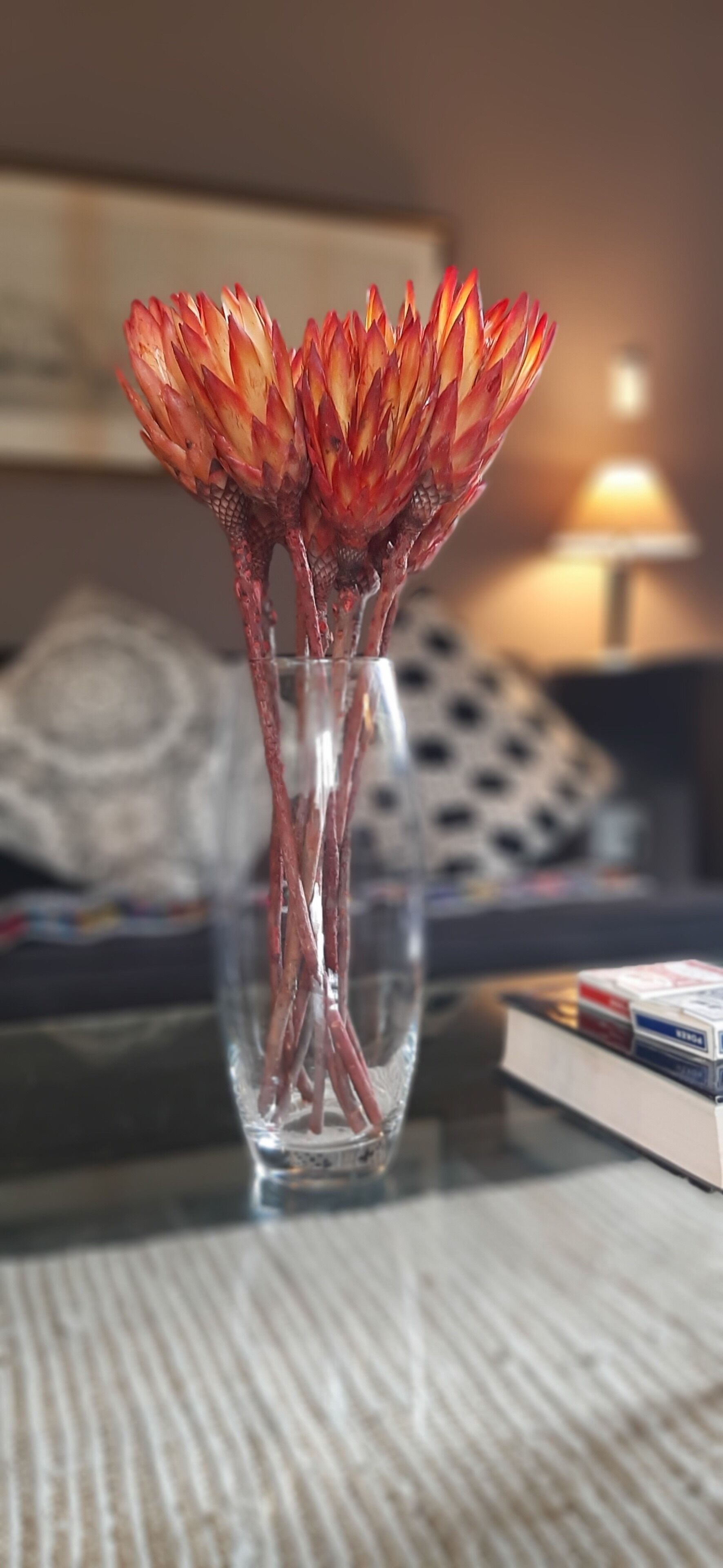 A clear glass vase with a single red flower on a textured surface.