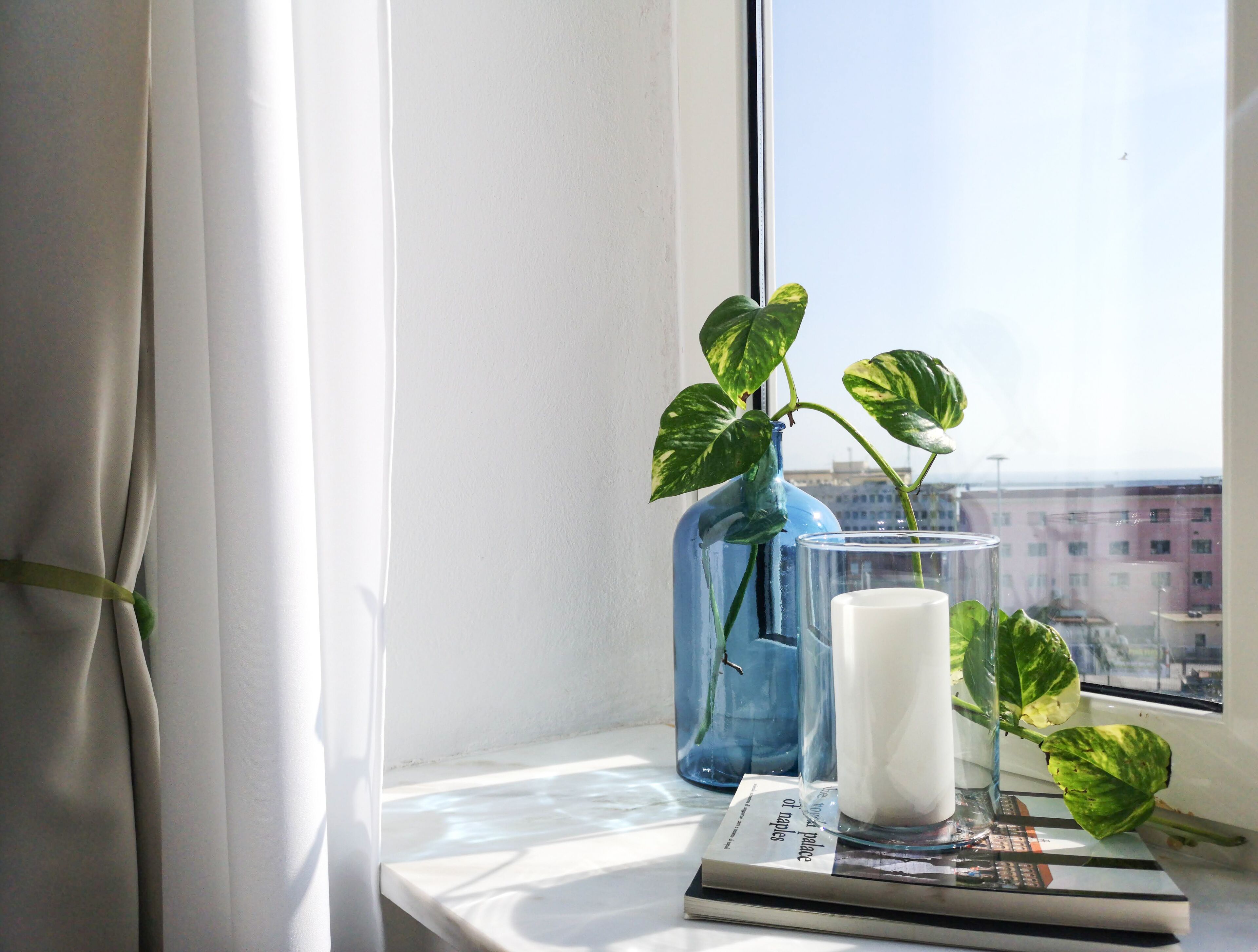 A window sill with a potted plant, a candle, and a book.