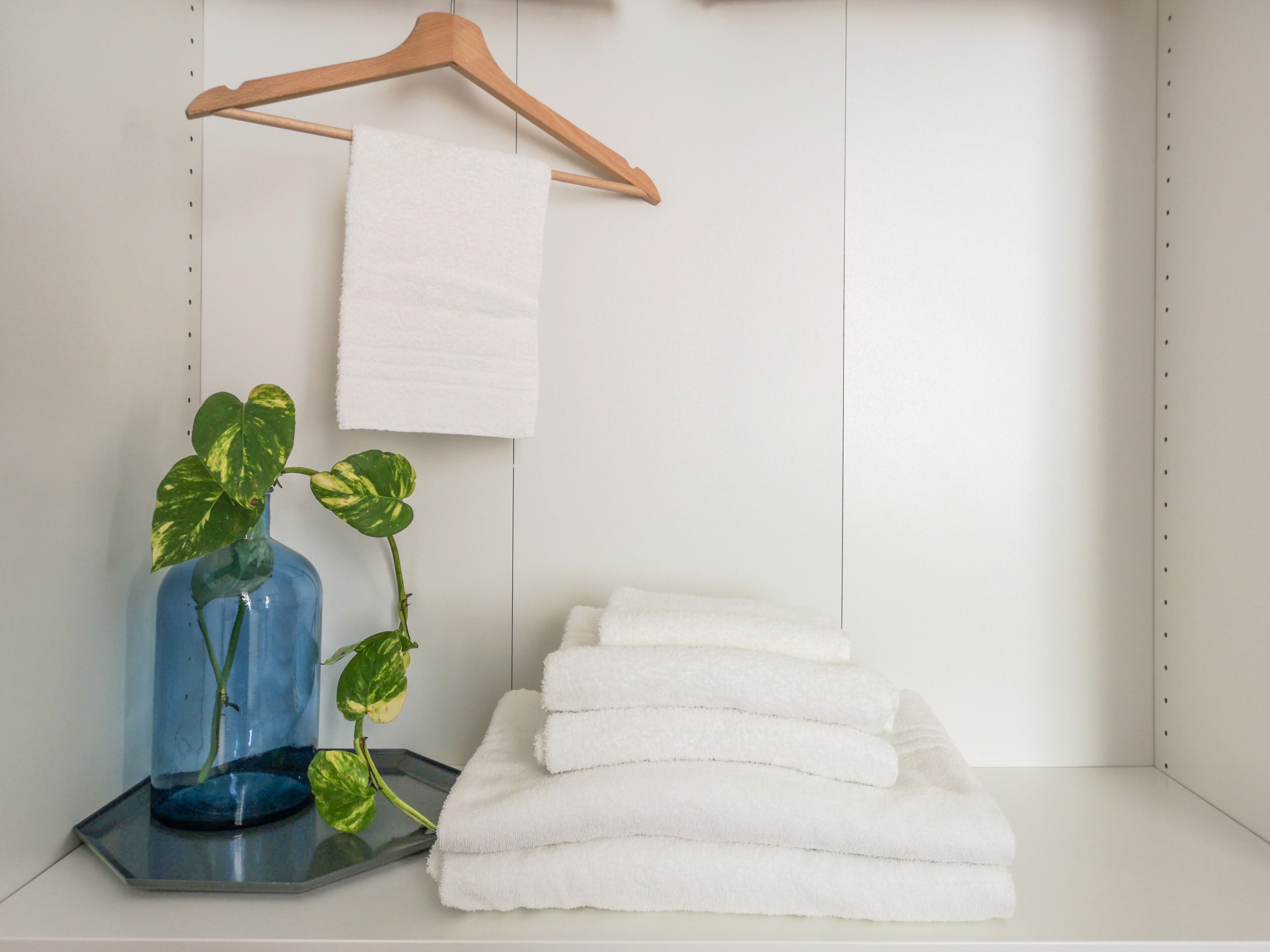 A bathroom with a towel rack, a stack of towels, and a potted plant.