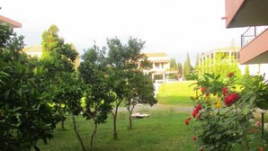 A courtyard with green grass, trees, and a building in the background.