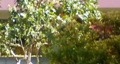 Gouvia House Luxury Apartments