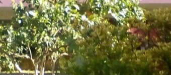 Gouvia House Luxury Apartments