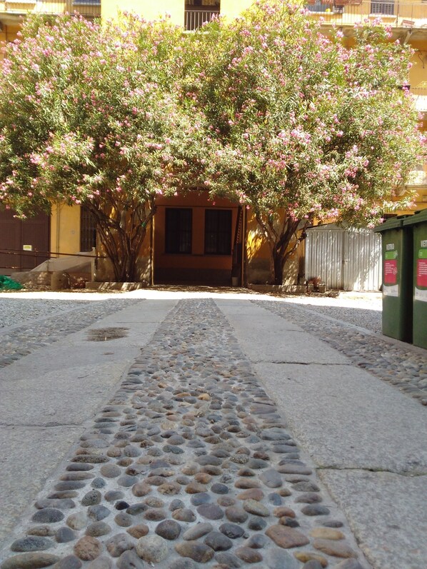 Cortile