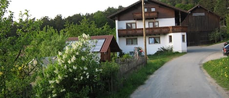 Esterni