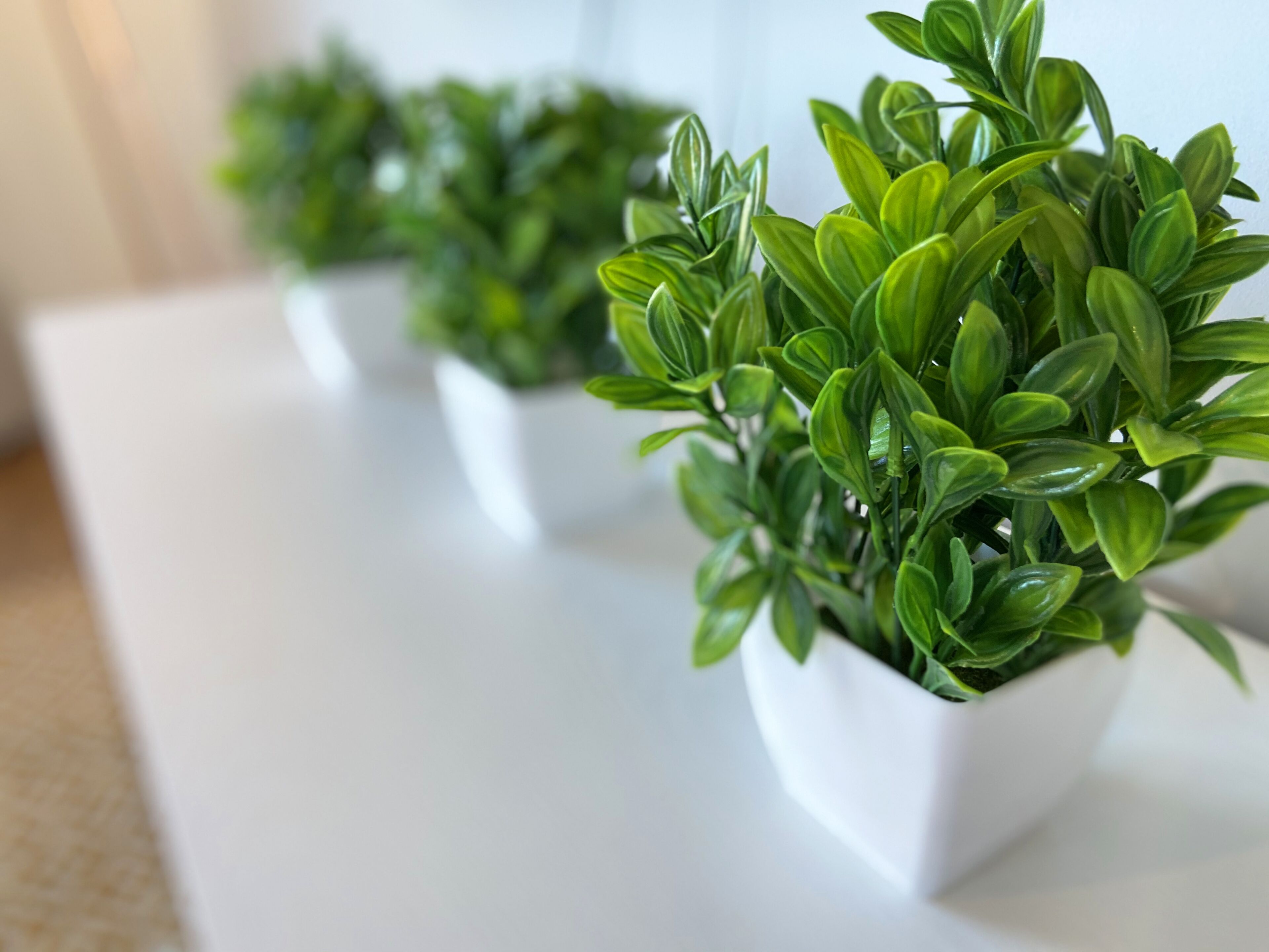 Trois jardinières blanches contenant des plantes vertes, posées sur une surface blanche.