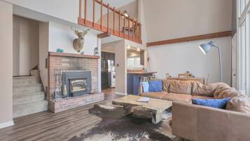 电视、壁炉、DVD 播放器、书