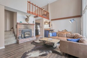 电视、壁炉、DVD 播放器、书