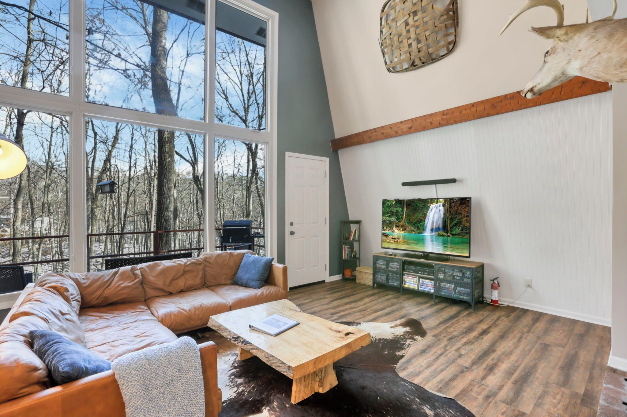 Televisión, chimenea, reproductor de DVD y libros 