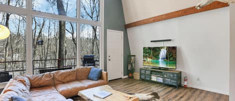 Televisio, takka, DVD-soitin, kirjoja