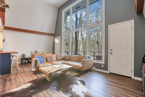 TV, fireplace, DVD player, books - The Reed – A Cozy Cabin in the Woods (Rockbridge)