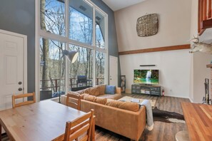 Televisión, chimenea, reproductor de DVD y libros 