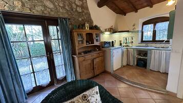 TV, fireplace, books