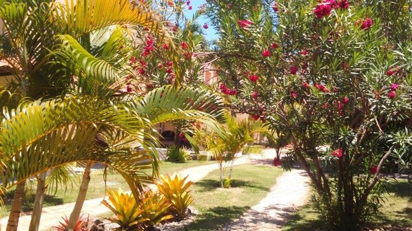 Área da propriedade