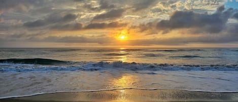 Plage à proximité, chaises longues, serviettes de plage