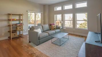 TV, fireplace, DVD player