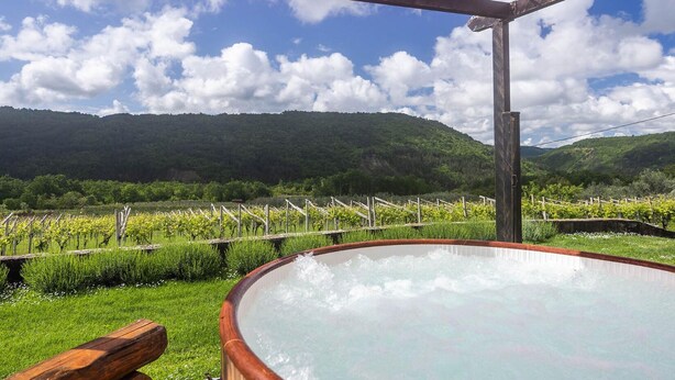Een hottub met een houten bankje in een wijngaard.