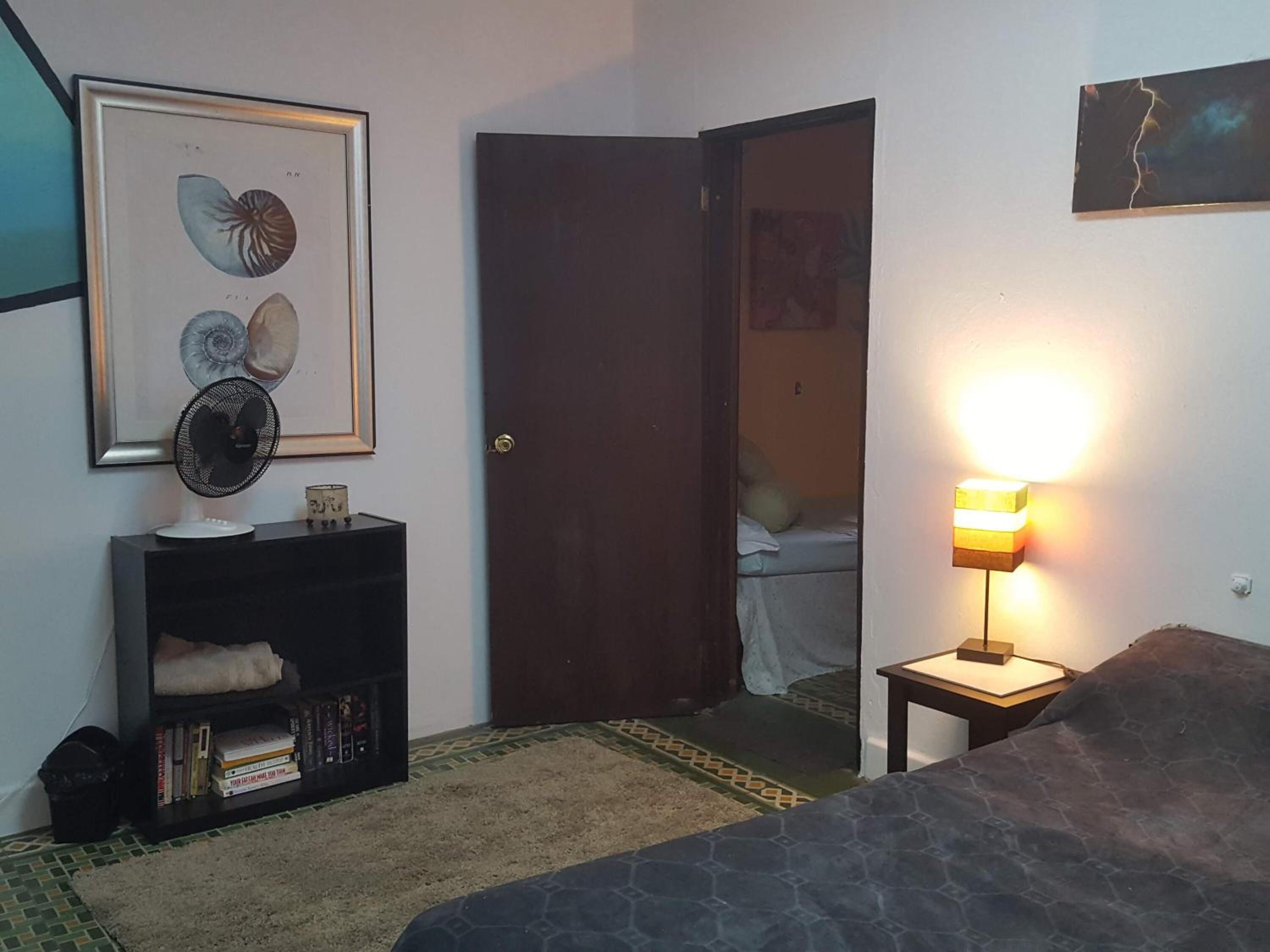 Un dormitorio con una cama, una lámpara de noche, una estantería, un cuadro enmarcado y una puerta que da a otra habitación.