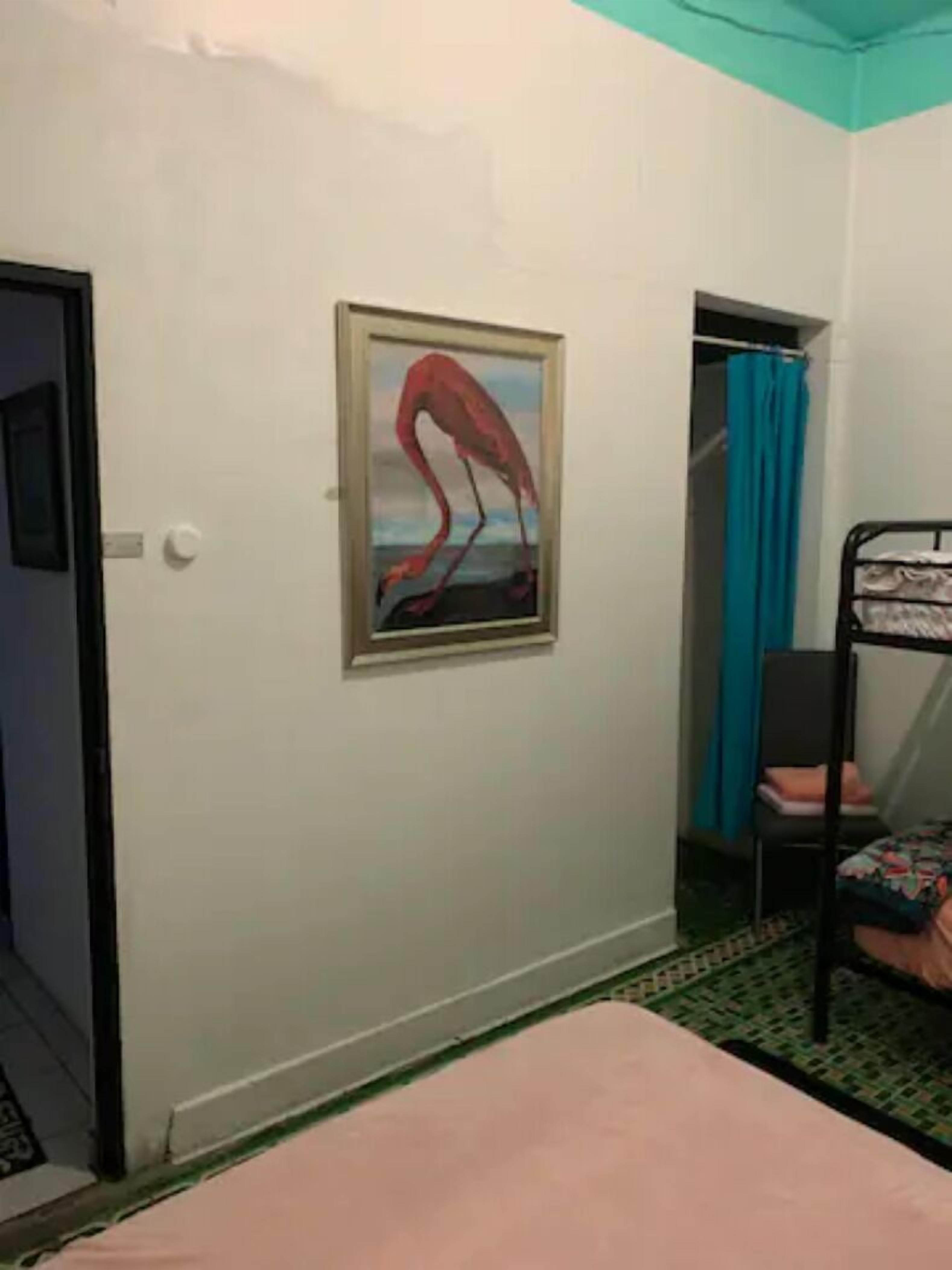 Una habitación con una cama individual superpuesta, un cuadro enmarco de un flamenco, una puerta y una cortina.