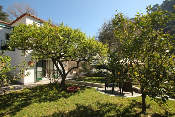 A courtyard with a white building, a small garden, and a tree with fruit. - Casa Augusto (Capri)